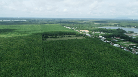 Sản xuất cao su thiên nhiên tại Việt Nam trước thách thức phát triển bền vững