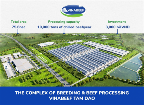 Vinamilk and Japan’s Sojitz begin work on beef cattle project in Vinh Phuc