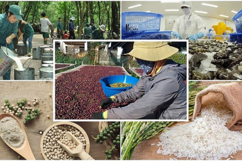 Agro-forestry-aquatic product exports likely to post positive growth from Q4